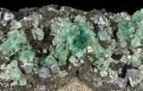 Fluorite & Galena Cluster - Rogerley Mine #60365-2